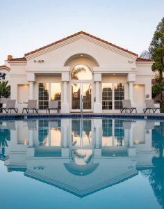 Portfolio 01 236x300